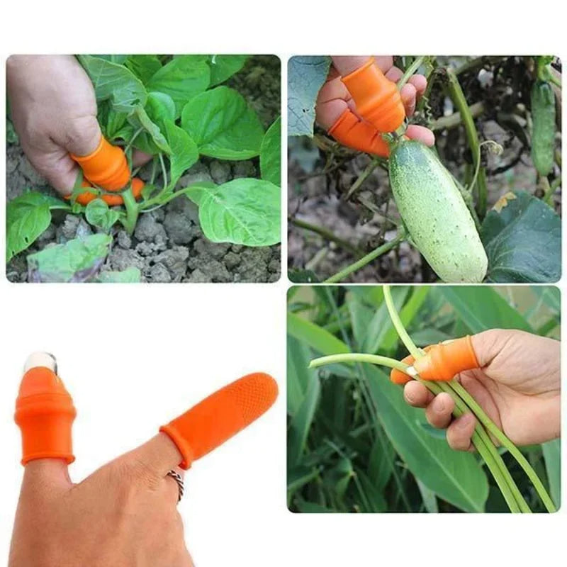🔥 Vegetable Picking Finger Glove