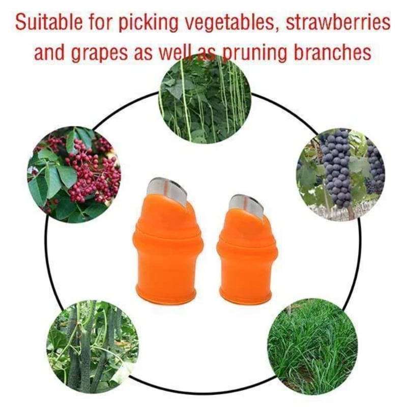🔥 Vegetable Picking Finger Glove