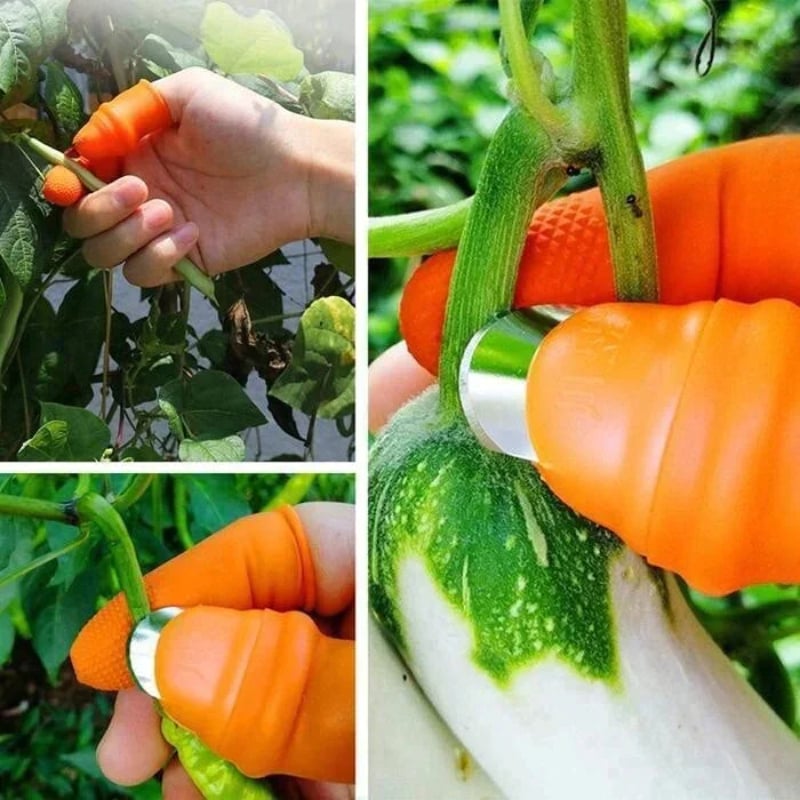 🔥 Vegetable Picking Finger Glove